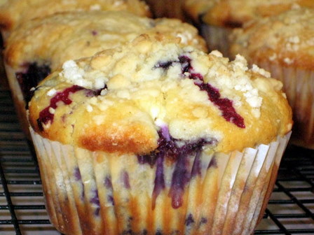 jumbo blueberry cheesecake muffins