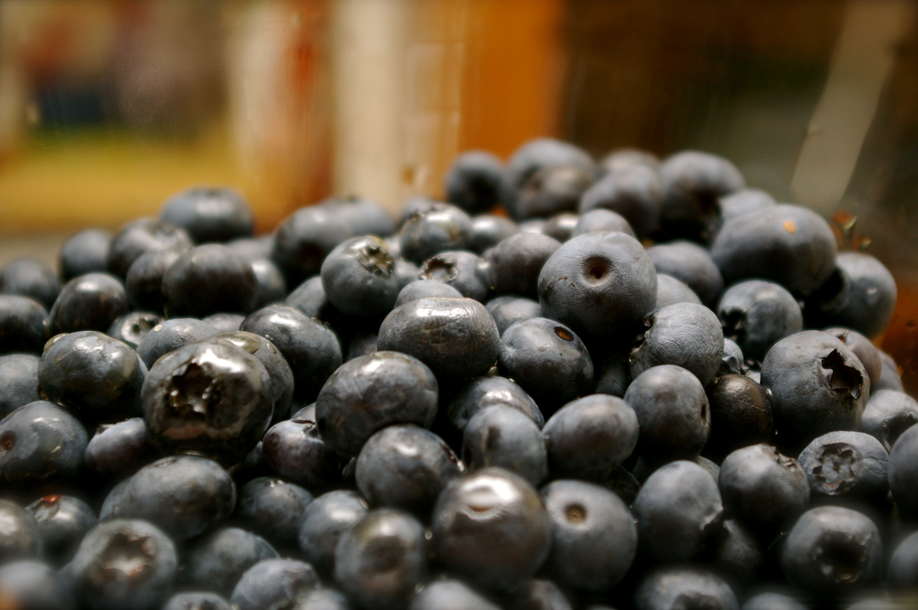 perfect blueberry crisp (with a hint of maple)