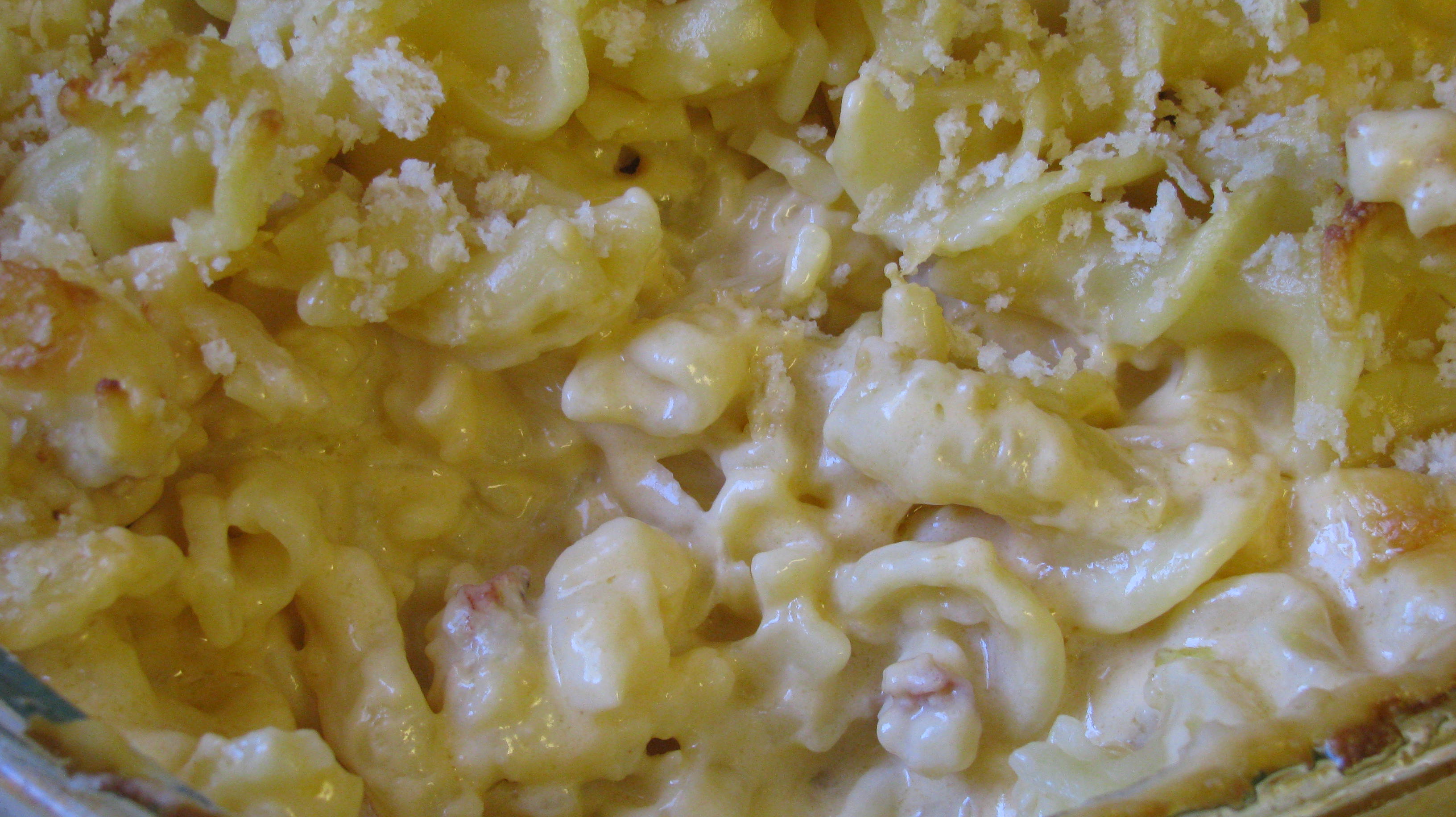 Lobster Mac n’ Cheese | Tasty Kitchen: A Happy Recipe Community!