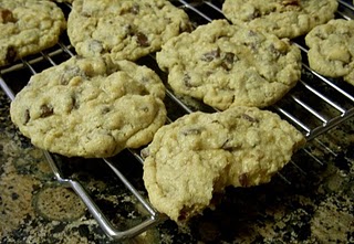 jolene’s oatmeal chocolate chip cookies