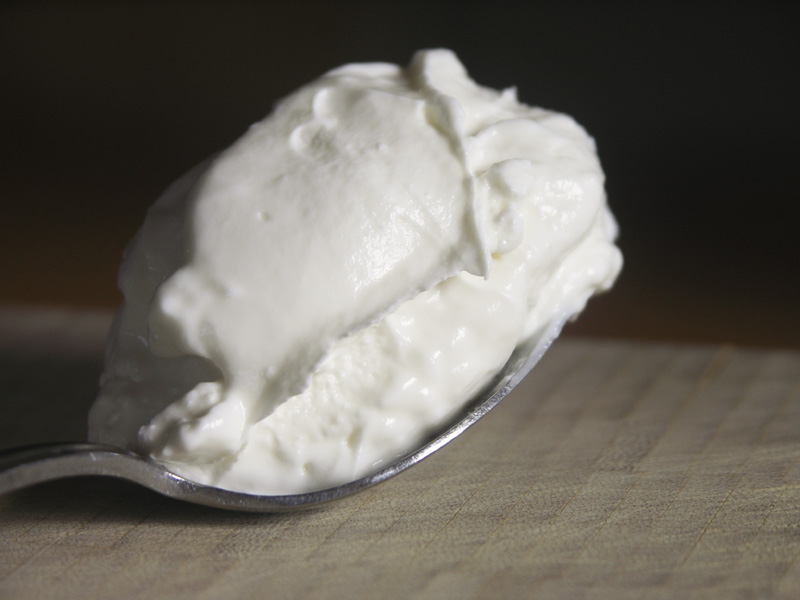 Homemade Greek Yogurt | Tasty Kitchen