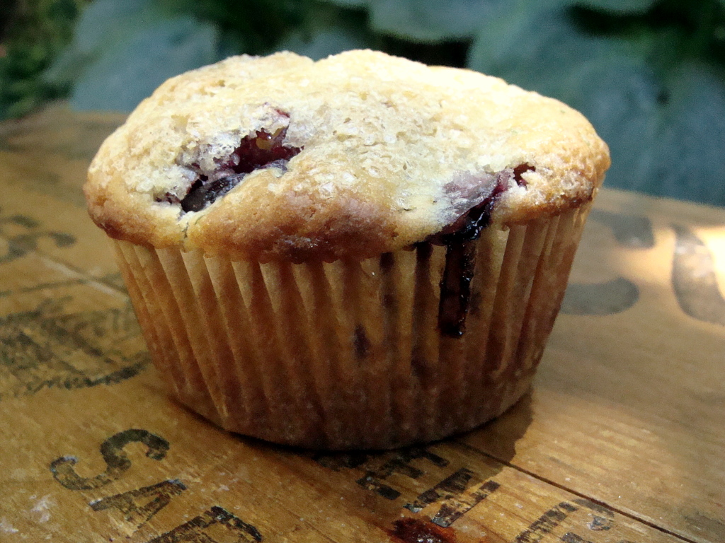 cherry-lime biscuit muffins