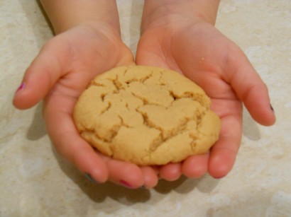 easy flourless peanut butter cookies