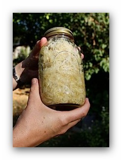 jeeem’s homemade sauerkraut