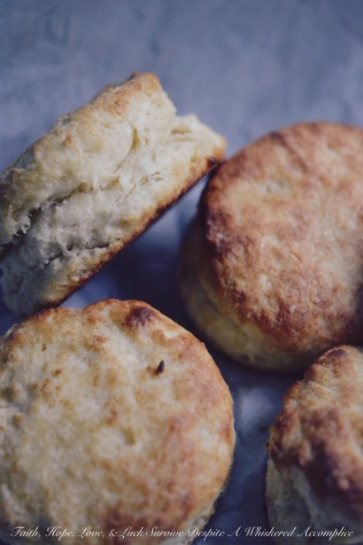 easy, flaky breakfast biscuits – take 2