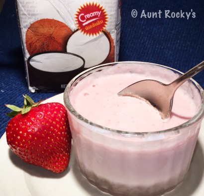 aunt rocky’s dairy free strawberry blender gelato