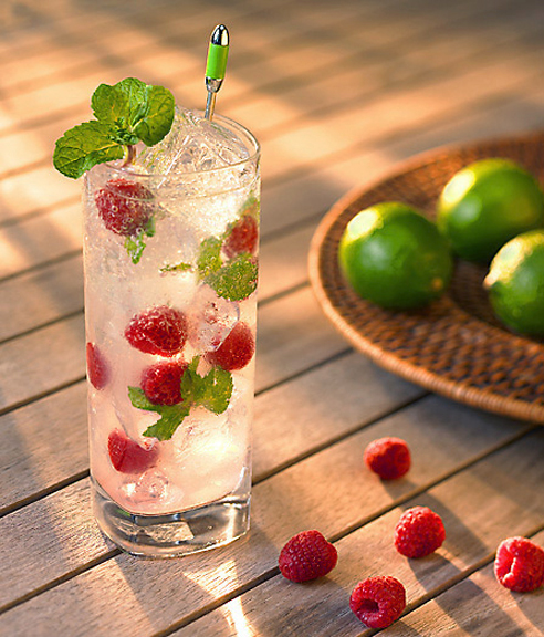 Tasty Kitchen Blog: Mojito Madness! Guest post by Jaden Hair of Steamy Kitchen (Icy-Cold Raspberry Mojito from A La Carte Kitchen)