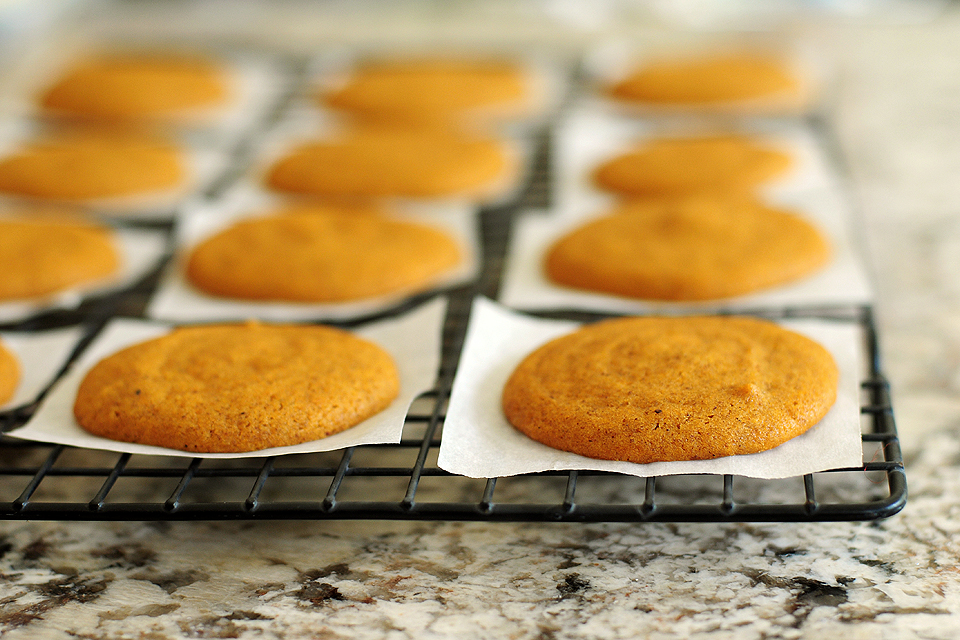 Tasty Kitchen Blog: Pumpkin Creme Pies. Guest post by Amy Johnson of She Wears Many Hats, recipe submitted by TK member The Deutsch Girl.