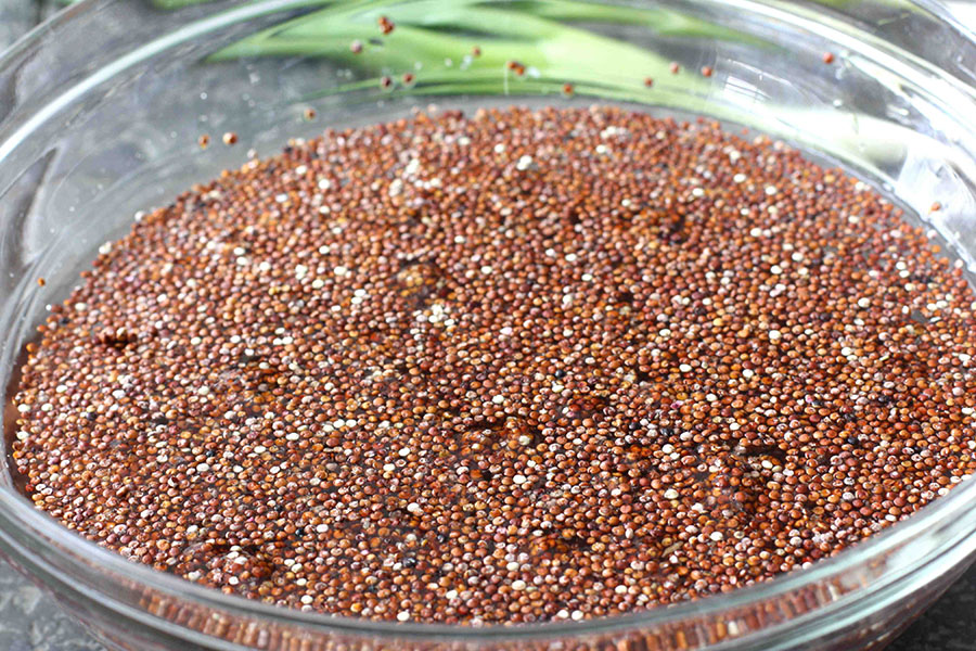 Tasty Kitchen Blog: Red Quinoa and Black Bean Salad. Guest post by Dara Michalski of Cookin' Canuck, recipe submitted by TK member Kay Heritage of The Church Cook.