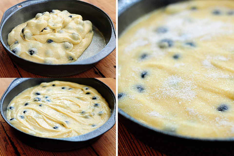 Tasty Kitchen Blog: Blueberry Lemon Buttermilk Cake. Guest post by Amy Johnson of She Wears Many Hats, recipe submitted by TK member Valery Bunnell (valery).