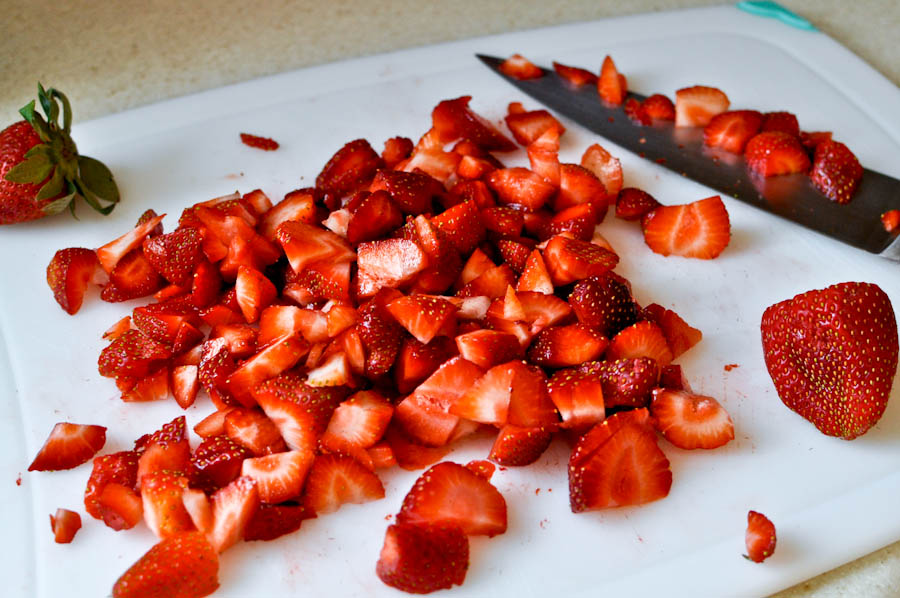 Homemade Fruit Leather