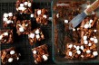 Tasty Kitchen Blog: Rocky Road Rice Krispie Treats. Guest post by Alice Currah of Savory Sweet Life, recipe submitted by TK members Chrissy and Lauren of From the Yellow Kitchen.