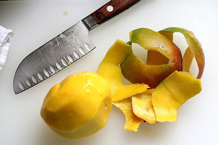 Tasty Kitchen Blog: Frozen Mango Yogurt. Guest post by Natalie Perry of Perry's Plate, recipe submitted by TK member Lauren of Healthy Food for Living.