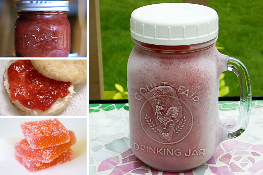 Tasty Kitchen Blog: The Theme is Rhubarb! (Preserves and Jellies)