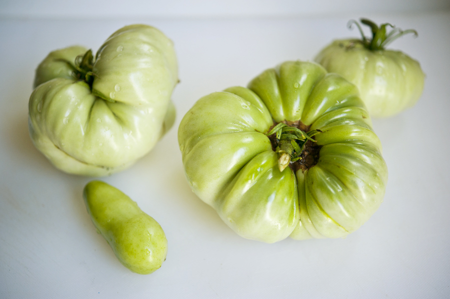 Tasty Kitchen Blog: Fried Green Tomatoes. Guest post by Georgia Pellegrini, recipe submitted by TK member Stephanie of Cookin' Cowgirl.