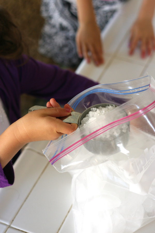 Tasty Kitchen Blog: Ice Cream in a Bag. Guest post by Natalie Perry of Perry's Plate, recipe submitted by TK member Donna of What the Dog Ate.