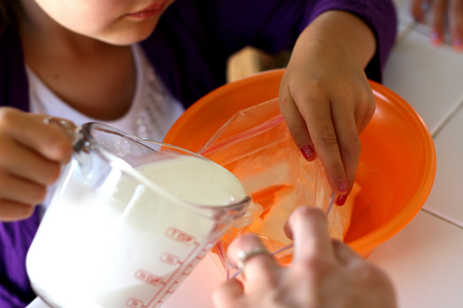 Tasty Kitchen Blog: Ice Cream in a Bag. Guest post by Natalie Perry of Perry's Plate, recipe submitted by TK member Donna of What the Dog Ate.