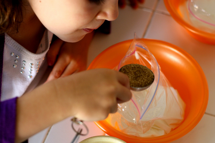 Tasty Kitchen Blog: Ice Cream in a Bag. Guest post by Natalie Perry of Perry's Plate, recipe submitted by TK member Donna of What the Dog Ate.