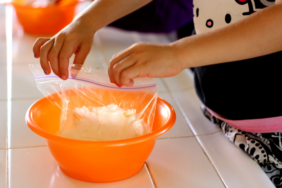 Tasty Kitchen Blog: Ice Cream in a Bag. Guest post by Natalie Perry of Perry's Plate, recipe submitted by TK member Donna of What the Dog Ate.