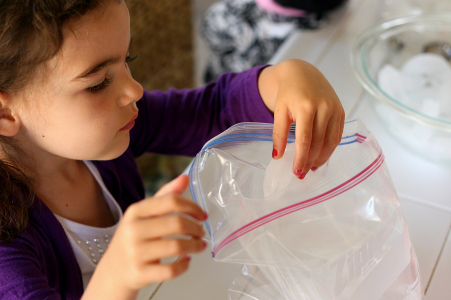 Tasty Kitchen Blog: Ice Cream in a Bag. Guest post by Natalie Perry of Perry's Plate, recipe submitted by TK member Donna of What the Dog Ate.