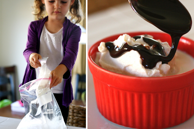 Ice cream in discount bag with milk