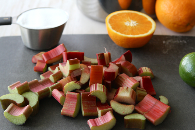 Tasty Kitchen Blog: Rhubarb Margaritas. Guest post by Dara Michalski of Cookin' Canuck, recipe submitted by TK member Gaby Dalkin of What's Gaby Cooking.