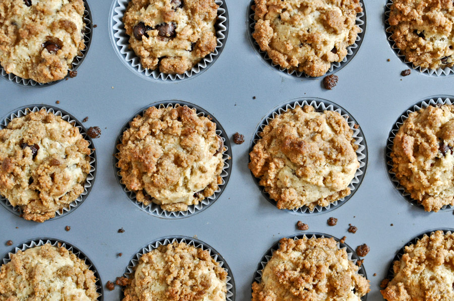 Tasty Kitchen Blog: Graham Cracker Chocolate Chip Muffins. Guest post by Jessica Merchant of How Sweet It Is, recipe submitted by TK member Michelle of Michelle's Tasty Creations.