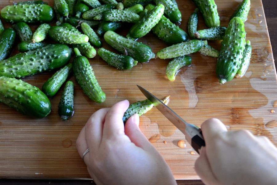 Tasty Kitchen Blog: Homemade Claussen Knock-Off Pickles. Guest post by Erica Kastner of Cooking for Seven, recipe submitted by TK member Rebecca of Foodie with Family.