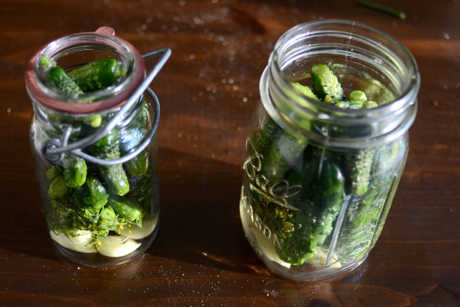 Tasty Kitchen Blog: Homemade Claussen Knock-Off Pickles. Guest post by Erica Kastner of Cooking for Seven, recipe submitted by TK member Rebecca of Foodie with Family.