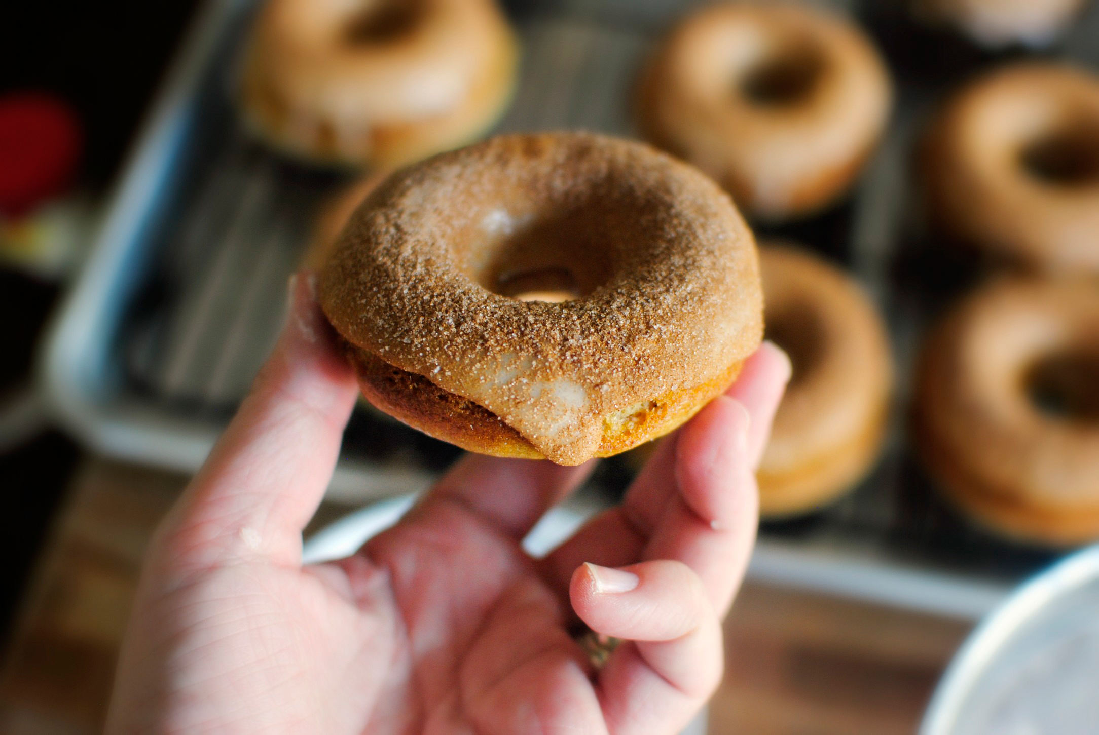 Tasty Kitchen Blog: Apple Cider Donuts. Guest post by Laurie of Simply Scratch, recipe submitted by TK member Aimee of Shugary Sweets.