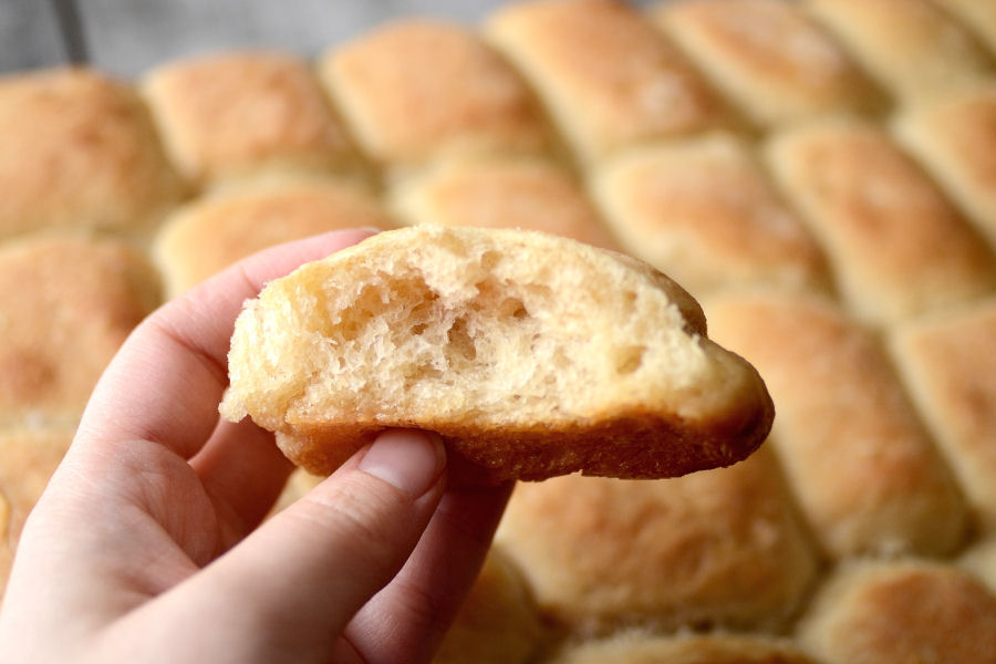 Tasty Kitchen Blog: No-Knead Dinner Rolls. Guest post by Erica Kastner, recipe submitted by TK member Terri of That's Some Good Cookin'.