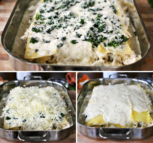 Tasty Kitchen Blog: White Cheese and Chicken Lasagna. Guest post by Laurie McNamara of Simply Scratch, recipe submitted by TK member Anna and Chelsea of Hidden Ponies.