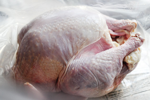 Tasty Kitchen Blog: Let's Talk Turkey!