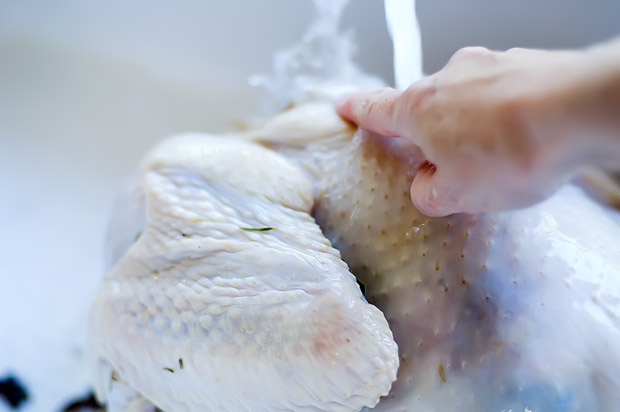 Tasty Kitchen Blog: Let's Talk Turkey!