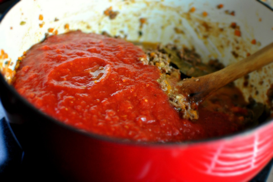 Tasty Kitchen Blog: Orecchiette Bolognese. Guest post by Laurie McNamara of Simply Scratch, recipe submitted by TK member Nam of The Culinary Chronicles.