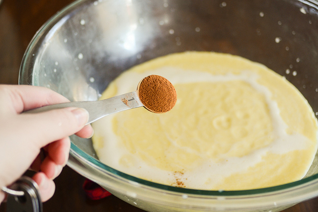 Tasty Kitchen Blog: Cinnamon Ice Cream. Guest post by Erica Kastner of Buttered Side Up, recipe submitted by TK member Amy of Gastronome Tart.