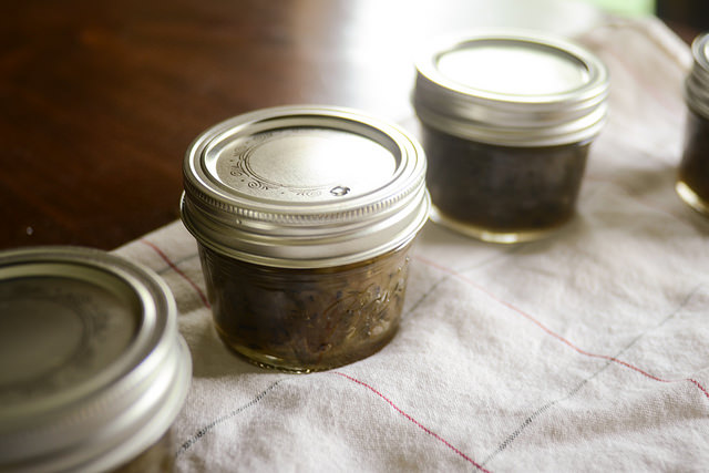 Tasty Kitchen Blog: Maple and Onion Jam. Guest post by Erica Kastner of Buttered Side Up, recipe submitted by TK member Veronica of My Catholic Kitchen.